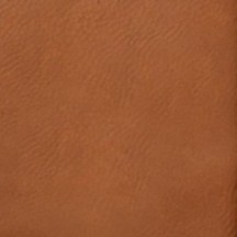 Caméléon 30 Initiales