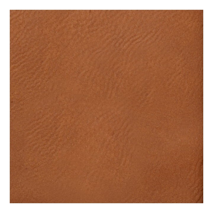 Caméléon 30 Initiales